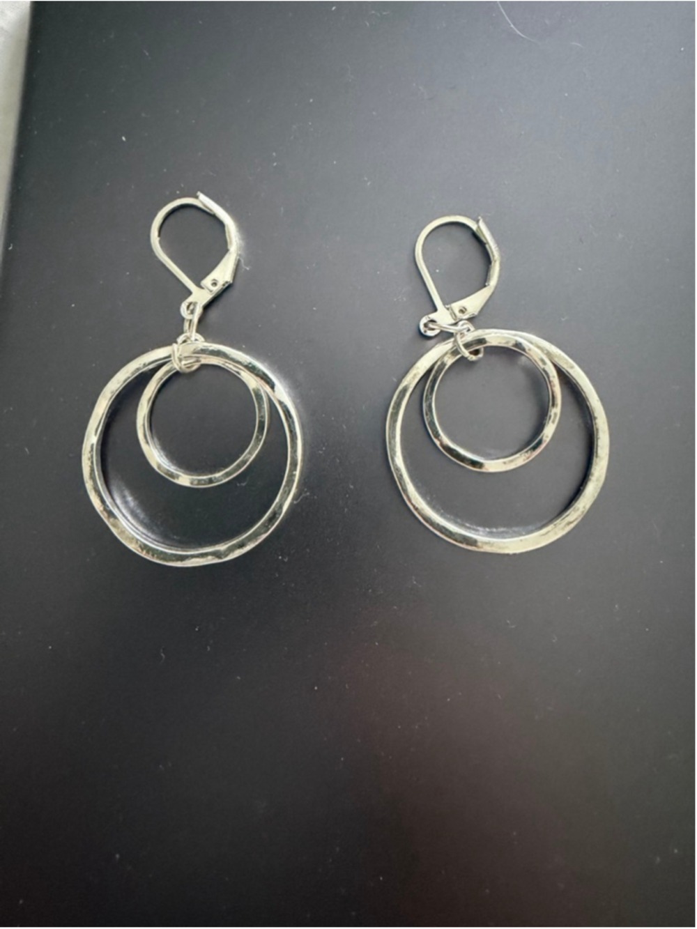 Silver Double Hoop Earrings One Size